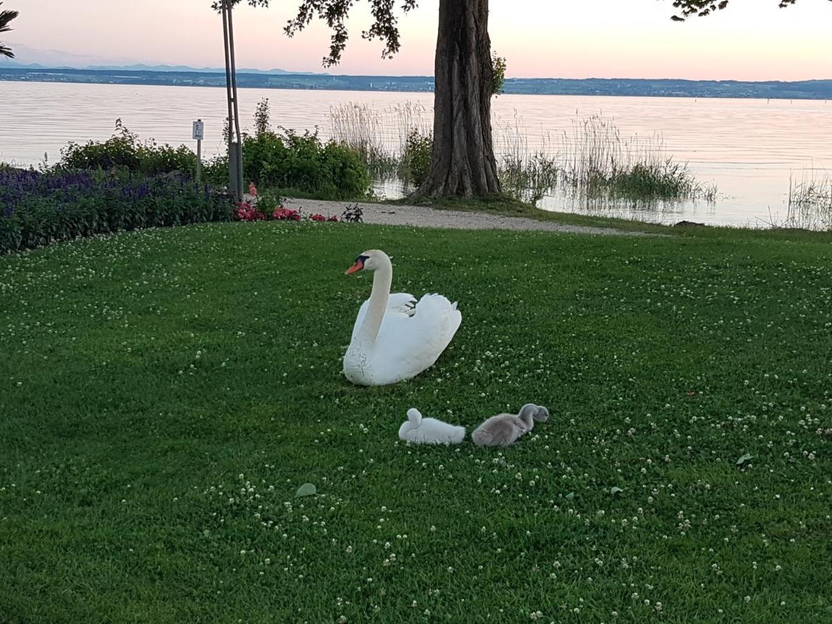 Malvelyns Am Bodensee Immenstaad am Bodensee Εξωτερικό φωτογραφία